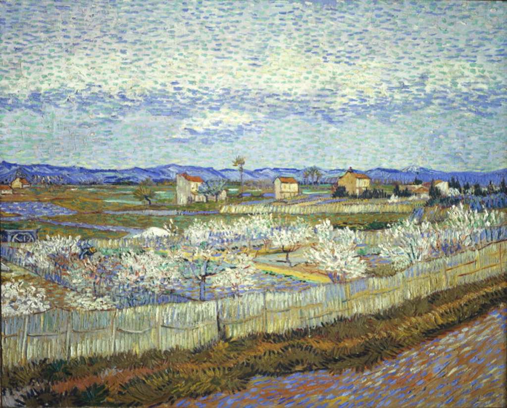 Courtauld 06 Vincent Van Gogh - Peach blossom in the Crau 6. Vincent van Gogh - Peach Blossom in the Crau, March-April 1889, 65 x 81 cm. Crau is a wide plain that lies to the north-east of Arles. Van Gogh: the big one is a poor landscape with little cottages, blue skyline of the Alpilles foothills, sky white and blue. The foreground, patches of land surrounded by cane hedges, where small peach trees are in bloom  everything is small there, the gardens, the fields, the orchards and the trees, even the mountains, as in certain Japanese landscapes, which is the reason why the subject attracted me.